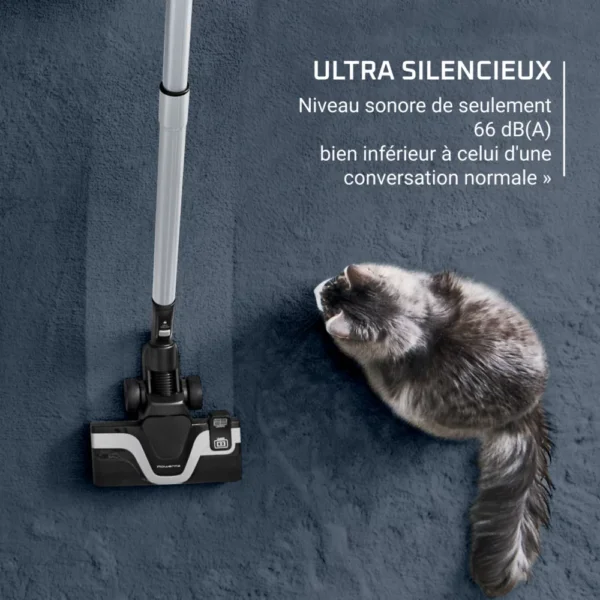 Aspirateur sans sac Rowenta GREEN FORCE CYLONIC RO7C71EA – Image 4
