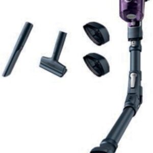 Rowenta X-Force Flex 8.60 Allergie Aspirateur balai sans fil, Multifonction,